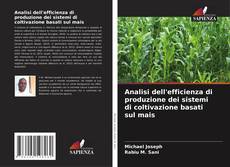 Обложка Analisi dell'efficienza di produzione dei sistemi di coltivazione basati sul mais
