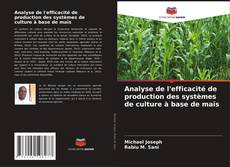 Couverture de Analyse de l'efficacité de production des systèmes de culture à base de maïs