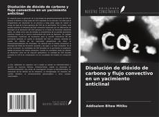 Buchcover von Disolución de dióxido de carbono y flujo convectivo en un yacimiento anticlinal