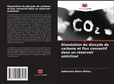 Capa do livro de Dissolution du dioxyde de carbone et flux convectif dans un réservoir anticlinal 