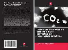 Обложка Dissolução de dióxido de carbono e fluxo convectivo em reservatório anticlíneo