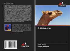 Обложка Il cammello