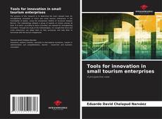 Copertina di Tools for innovation in small tourism enterprises