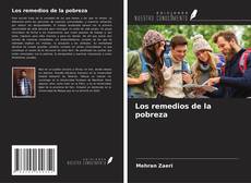Bookcover of Los remedios de la pobreza