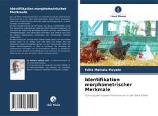 Обложка Identifikation morphometrischer Merkmale