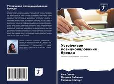 Buchcover von Устойчивое позиционирование бренда