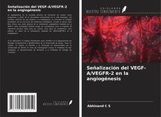 Bookcover of Señalización del VEGF-A/VEGFR-2 en la angiogénesis
