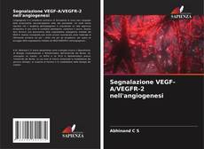Bookcover of Segnalazione VEGF-A/VEGFR-2 nell'angiogenesi