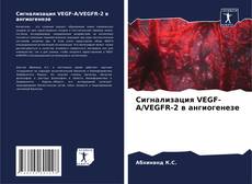 Portada del libro de Сигнализация VEGF-A/VEGFR-2 в ангиогенезе
