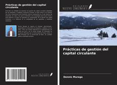 Prácticas de gestión del capital circulante的封面