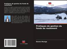 Bookcover of Pratiques de gestion du fonds de roulement