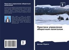 Buchcover von Практика управления оборотным капиталом