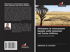 Capa do livro de Stimolare le innovazioni basate sulle soluzioni nel Corno d'Africa 
