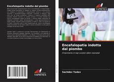Encefalopatia indotta dal piombo kitap kapağı