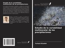 Buchcover von Estudio de la variabilidad multiescalar de las precipitaciones