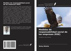Medidas de responsabilidad social de las empresas (RSE) kitap kapağı