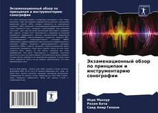 Bookcover of Экзаменационный обзор по принципам и инструментарию сонографии