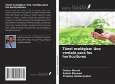 Bookcover of Túnel ecológico: Una ventaja para los horticultores