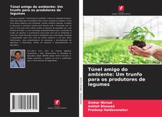 Bookcover of Túnel amigo do ambiente: Um trunfo para os produtores de legumes
