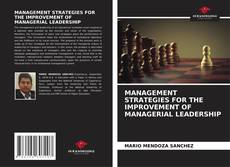 Copertina di MANAGEMENT STRATEGIES FOR THE IMPROVEMENT OF MANAGERIAL LEADERSHIP