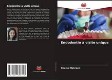Buchcover von Endodontie à visite unique