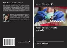 Capa do livro de Endodonzia a visita singola 