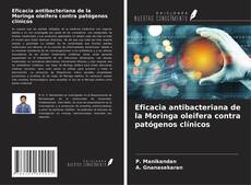 Capa do livro de Eficacia antibacteriana de la Moringa oleifera contra patógenos clínicos 