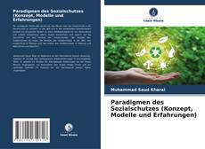 Buchcover von Paradigmen des Sozialschutzes (Konzept, Modelle und Erfahrungen)