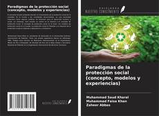 Paradigmas de la protección social (concepto, modelos y experiencias) kitap kapağı