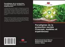 Capa do livro de Paradigmes de la protection sociale (Concept, modèles et expériences) 