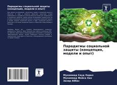 Bookcover of Парадигмы социальной защиты (концепция, модели и опыт)