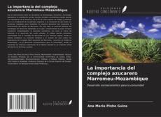 La importancia del complejo azucarero Marromeu-Mozambique kitap kapağı