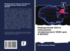 Buchcover von Определение места связывания человеческого VGSC для A-803467
