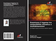 Esaminare il legame tra sostenibilità climatica e multidimensioni kitap kapağı