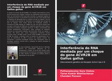 Bookcover of Interferência do RNA mediada por um choque do gene ACVR2B em Gallus gallus