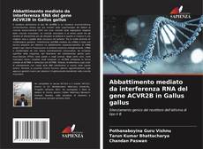 Capa do livro de Abbattimento mediato da interferenza RNA del gene ACVR2B in Gallus gallus 