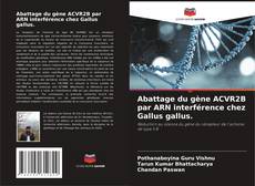 Abattage du gène ACVR2B par ARN interférence chez Gallus gallus. kitap kapağı
