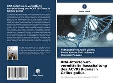 Buchcover von RNA-Interferenz-vermittelte Ausschaltung des ACVR2B-Gens in Gallus gallus