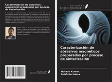 Capa do livro de Caracterización de abrasivos magnéticos preparados por proceso de sinterización 