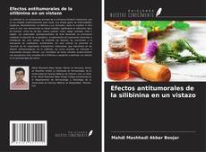 Обложка Efectos antitumorales de la silibinina en un vistazo