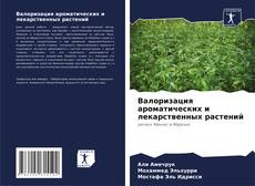 Buchcover von Валоризация ароматических и лекарственных растений