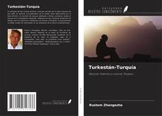 Turkestán-Turquía的封面