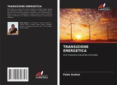 TRANSIZIONE ENERGETICA kitap kapağı