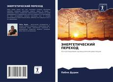 Buchcover von ЭНЕРГЕТИЧЕСКИЙ ПЕРЕХОД