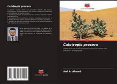 Calotropis procera的封面