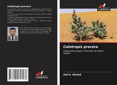Calotropis procera的封面