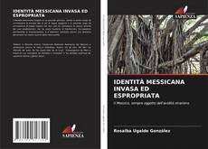 Bookcover of IDENTITÀ MESSICANA INVASA ED ESPROPRIATA