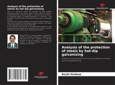 Copertina di Analysis of the protection of steels by hot-dip galvanizing