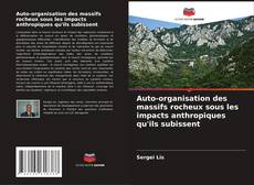 Buchcover von Auto-organisation des massifs rocheux sous les impacts anthropiques qu'ils subissent
