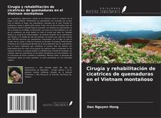 Обложка Cirugía y rehabilitación de cicatrices de quemaduras en el Vietnam montañoso